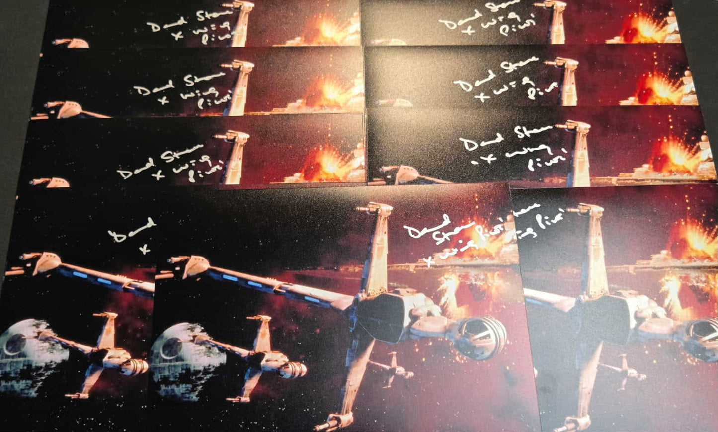 David Stone SIGNED B-Wing Fighter 8x10