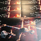 David Stone SIGNED B-Wing Fighter 8x10