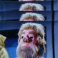 John Wheeler SIGNED Ambassador Gav 8x10